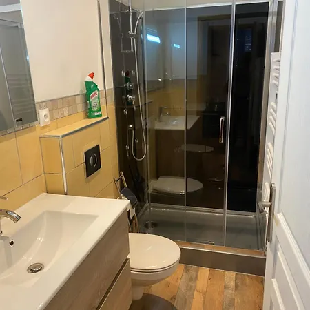 3 Appartements T1 Meuble Lussac 86320 Exterior photo