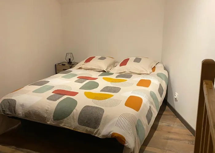 3 Appartements T1 Meuble Lussac 86320