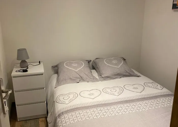 3 Appartements T1 Meuble Lussac 86320